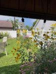 Your Stay at Bungalow 89 Will be as Vibrant as the Flowers Surrounding the Home